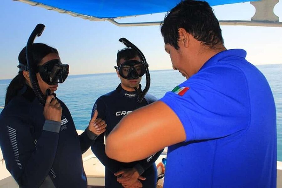 San José del Cabo: Private Snorkeling - Key points at a glance