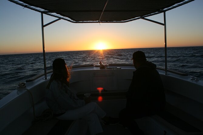 San Jose del Cabo Small-Group Sunrise Whale Watching - Why the 6:00 am start matters