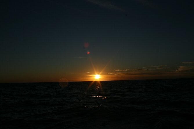 San Jose del Cabo Small-Group Sunrise Whale Watching - Guides who turn waiting time into useful time