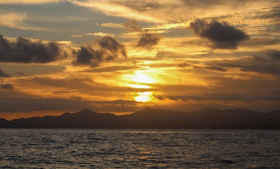 San Jose del Cabo Sunset Whale Watching - How to make the most of the evening
