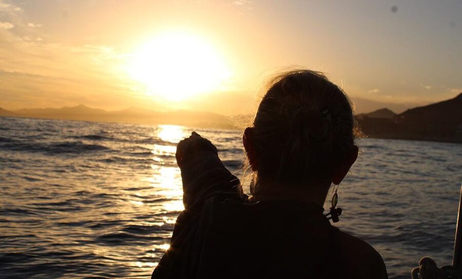 San Jose del Cabo Sunset Whale Watching - Why a sunset whale trip feels different