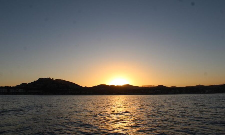 San Jose del Cabo Sunset Whale Watching - Meeting at Callejon Pez Sierra 5
