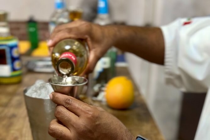 San Jose del Cabo Tequila, Mezcal and Mixology Class - Comparing premium tequila and mezcal in small pours