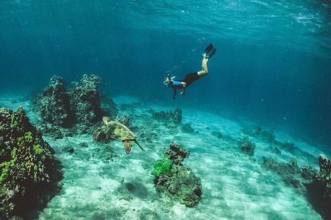 Santa Maria and Chileno Bay Snorkel Adventure Los Cabos - What the small boat format really means