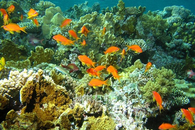 Santa Maria and Chileno Bay Snorkel Adventure Los Cabos - What to pack for a better day
