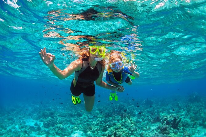 Santa Maria and Chileno Bay Snorkel Adventure Los Cabos - Chileno Bay: varied underwater terrain