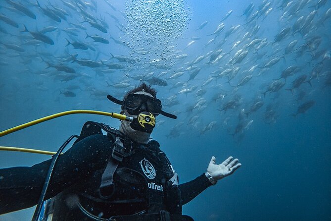 Scuba Diving - Key points to know before booking