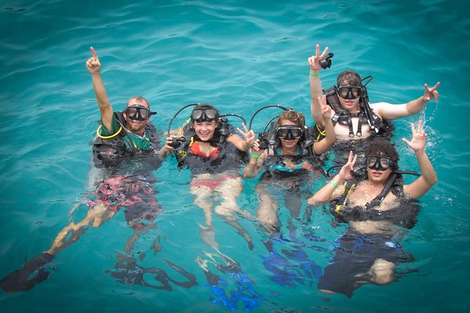Scuba Diving - What you might see below the surface
