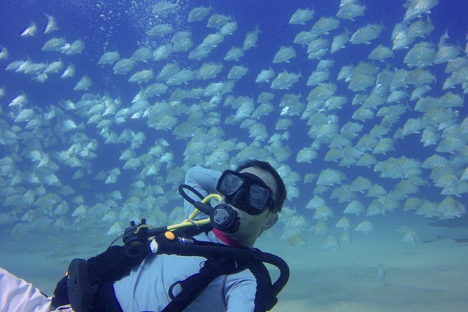 Scuba Diving - A closer look at the two-tank format