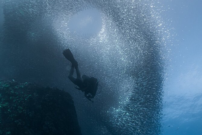 Scuba Diving - Practical details that affect your day