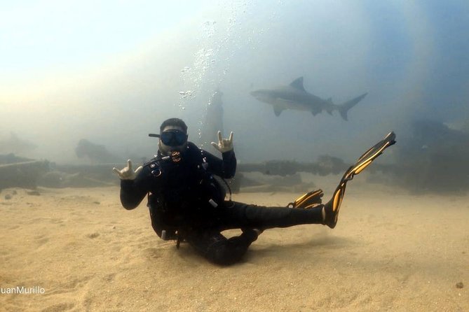 Scuba Diving adventure Cabo pulmo - The value of a certified guide