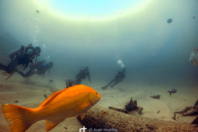 Scuba Diving adventure Cabo pulmo - Group size and the private trip question