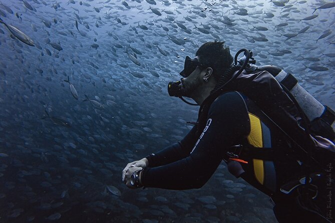 Scuba Diving - Choosing between Land’s End and the Corridor
