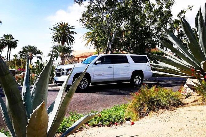 services transportation, airport transportation in los cabos, Private shuttles - What the vehicle and ride are like