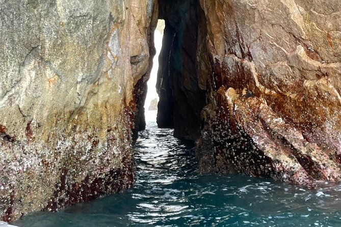 Shared Experience Glass Bottom Boat to the Arch in Cabo San Lucas - What the $15 price really covers