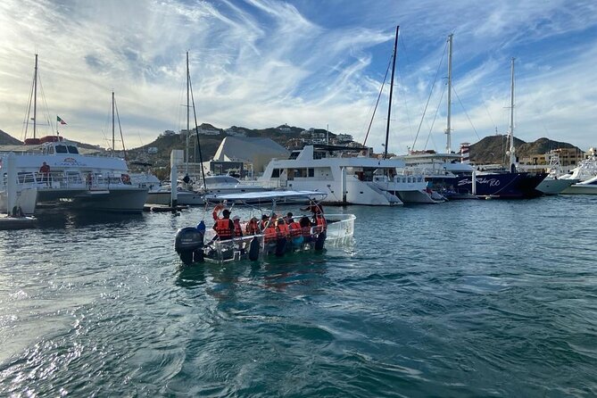 Shared Experience Glass Bottom Boat to the Arch in Cabo San Lucas - Timing, whale watching, and what to clarify