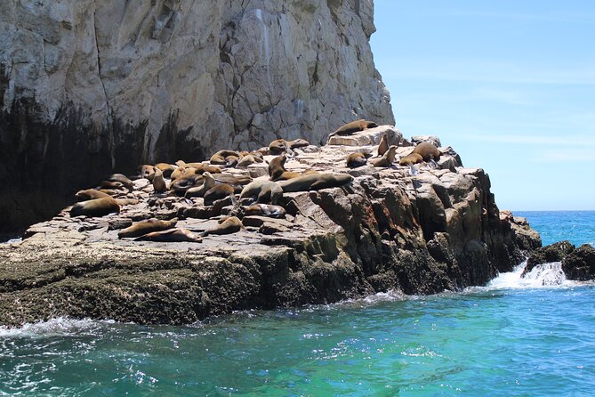 Shared Tour to the Arch of Cabo San Lucas - Finding Dock D and planning around a cruise stop