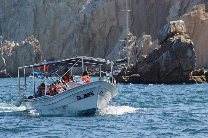 Shared walks to the arch of Cape San Lucas - Sea lions, beaches, and marine life