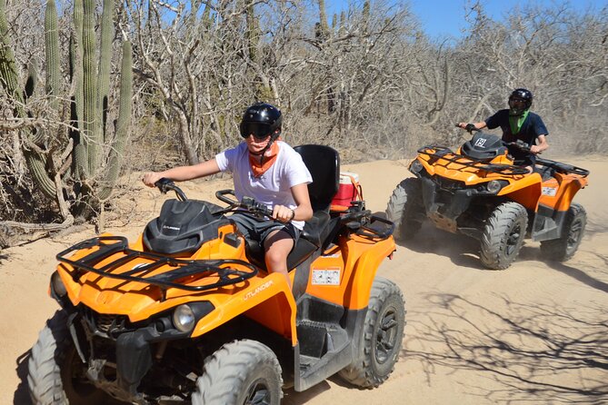Single ATV Tour from Migriño Beach & Desert - Two rest stops with a whale-season bonus