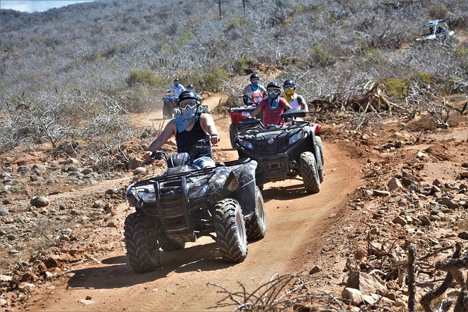 Single ATV Tour from Migriño Beach & Desert - The beach, mangrove, dune, and mountain sections