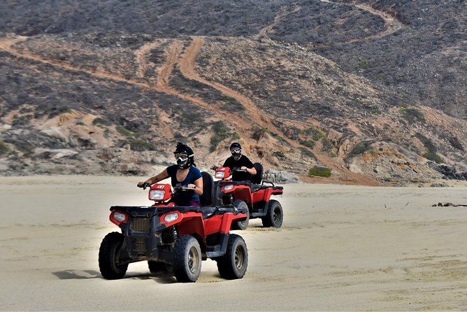 Single ATV Tour from Migriño Beach & Desert - What the 50 cactus species add to the ride