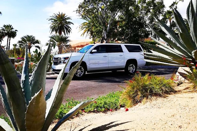 SJD Airport to San Jose del Cabo - one way service - Key points to know before booking
