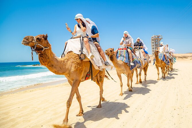 Sky Bike Free Camel Ride and Horseback Riding - Camel time on the Pacific shore