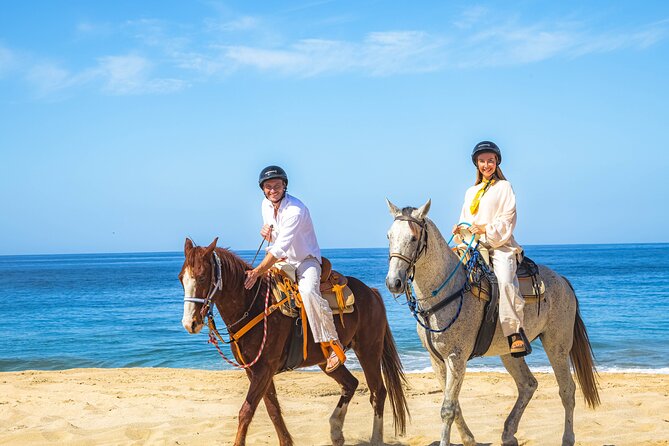 Sky Bike Free Camel Ride and Horseback Riding - What the $175 price really covers