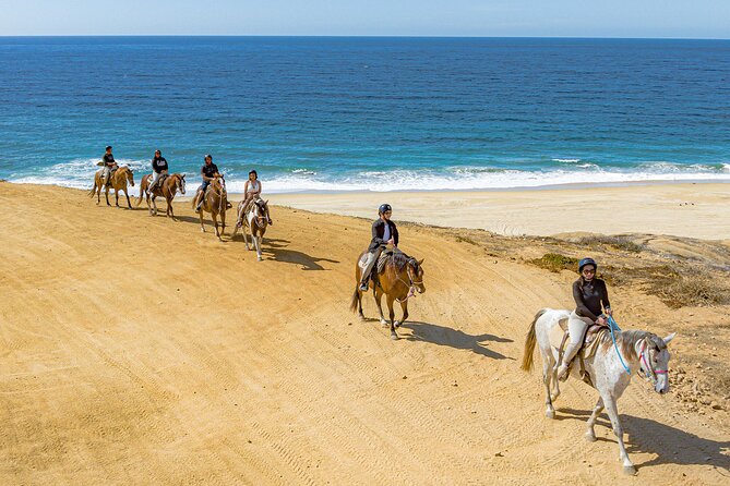 Sky Bike Free Camel Ride and Horseback Riding - Guides who can make the difference
