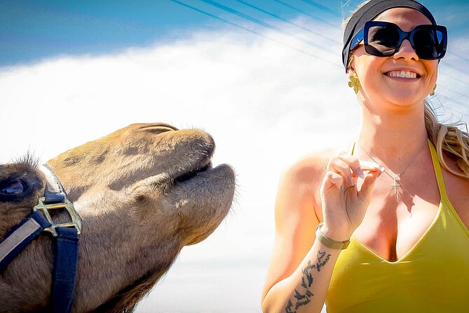 Sky Bike Free Camel Ride and Horseback Riding - What to bring and how to prepare