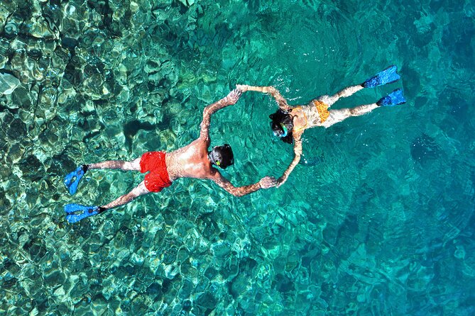 Small-Group Snorkel Adventure in San Jose del Cabo - A three-hour morning on the Sea of Cortez