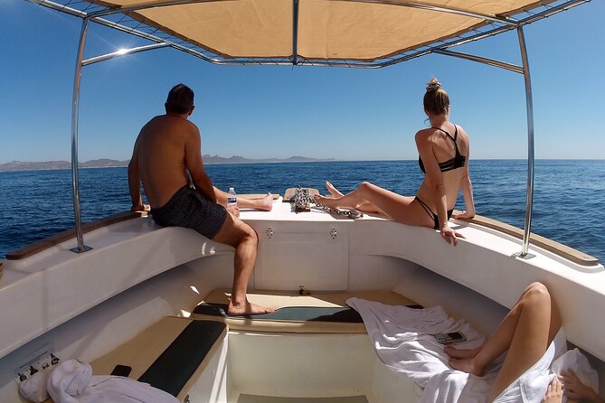 Small-Group Snorkel Adventure in San Jose del Cabo - Guides who make the water easier to understand