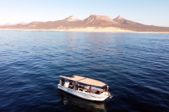 Small-Group Snorkel Adventure in San Jose del Cabo - Why the group size matters