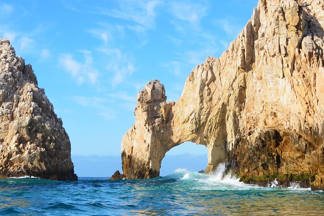 SMALL GROUP Whale Watch | Cabo San Lucas | Biologist | FREE Pics - Who should book this outing?