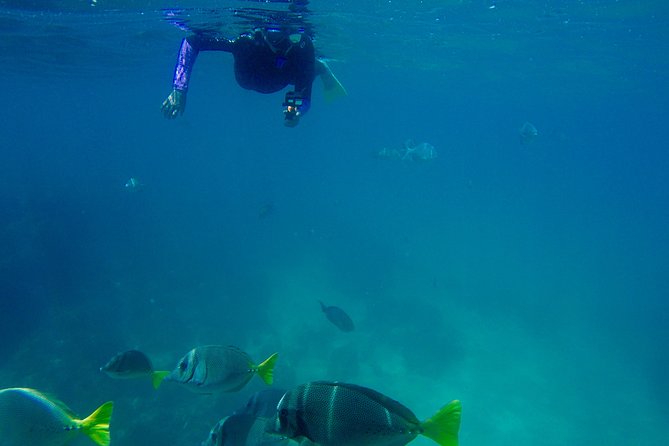 Snorkel Adventure and Hike to a Hidden Beach - Guacamole, ceviche, and a proper beach break