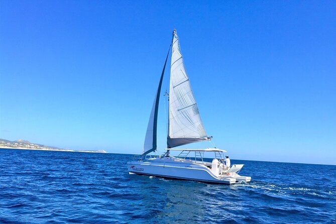 Snorkel Adventure through the Sea of Cortez - Setting out from Cabo Bay