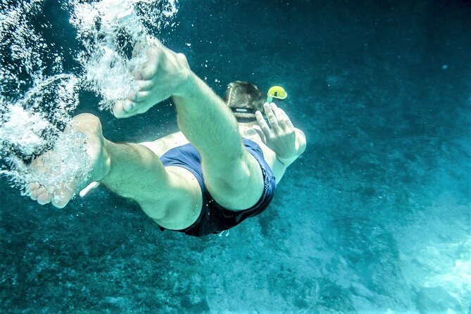 Snorkel Adventure through the Sea of Cortez - Is $149 a fair price?