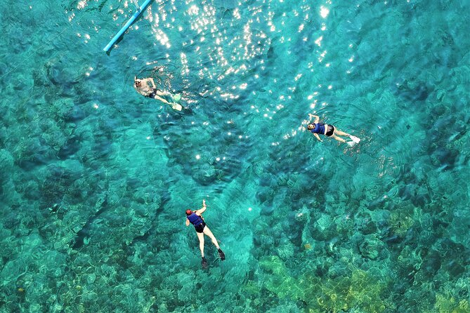 Snorkel Adventure through the Sea of Cortez - Who will enjoy this most?