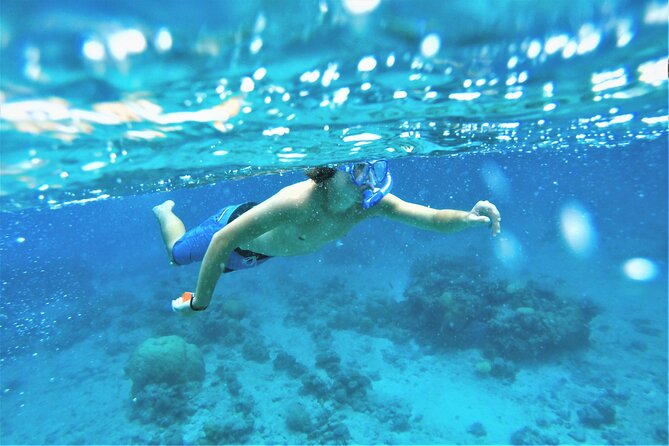 Snorkel Adventure through the Sea of Cortez - Timing, pickup, and cancellation details
