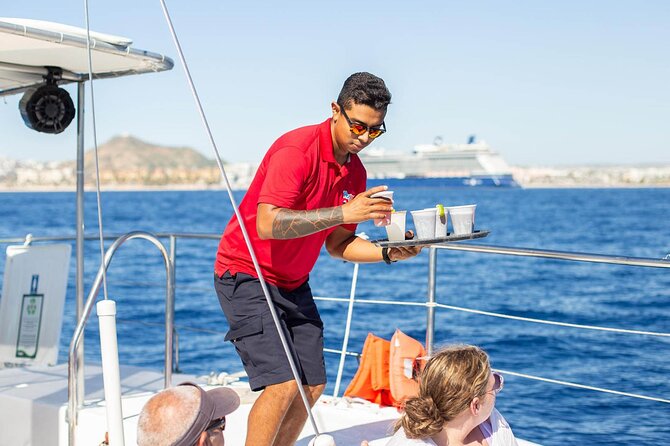 Snorkel Cruise in Los Cabos - Lunch, cold drinks, and the return ride
