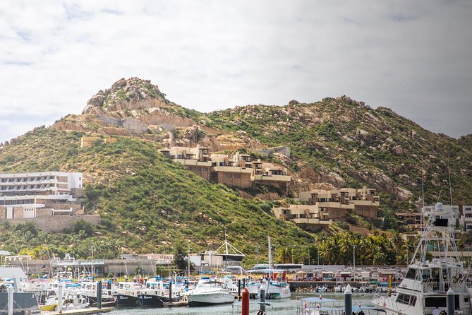 Snorkel & Explore Pelican Rock by Glass Boat + Photos - Photos add value, with one important caution