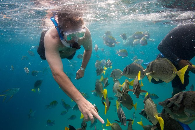 Snorkel & Explore Pelican Rock by Glass Boat + Photos - Cabo San Lucas adds a second, more commercial half