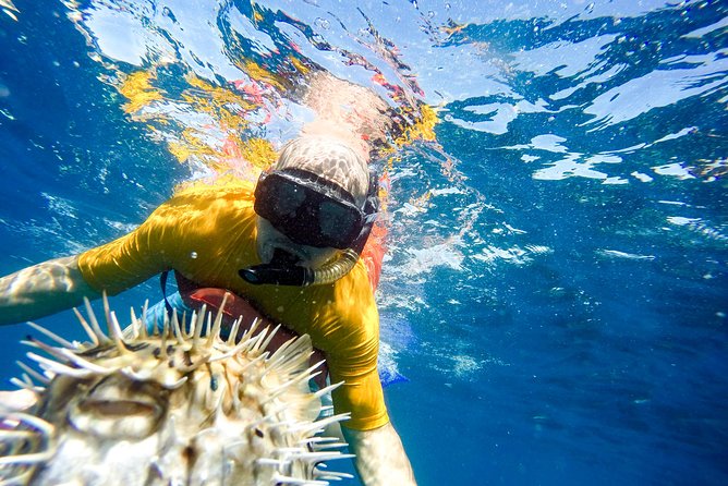 Snorkel & Explore Pelican Rock by Glass Boat + Photos - What the $125 price really covers