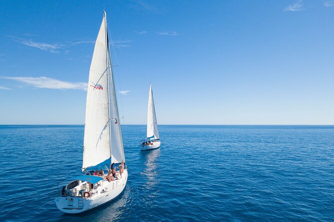 Snorkel in Luxury Sailing Boat + Food and Premium drink! - Lunch, snacks, and premium drinks on board