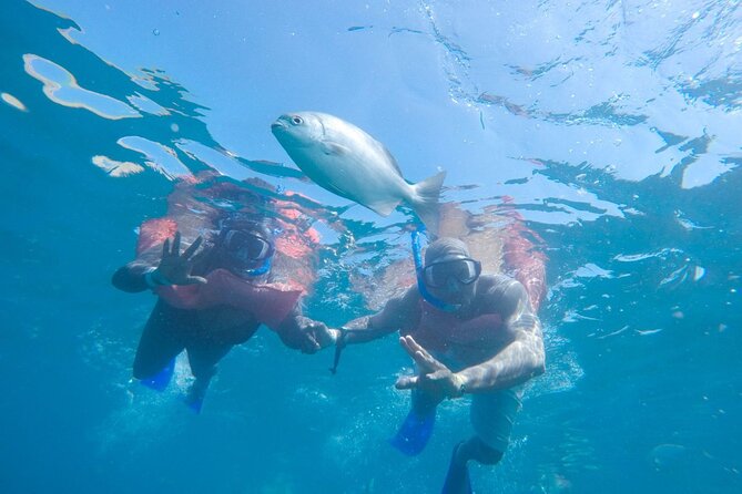 Snorkel in Luxury Sailing Boat + Food and Premium drink! - Shade, comfort, and what to pack