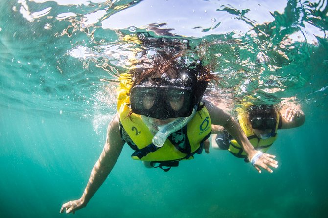 Snorkel, Lunch & Sail in Cabo San Lucas - A lively crew and a family-friendly mood