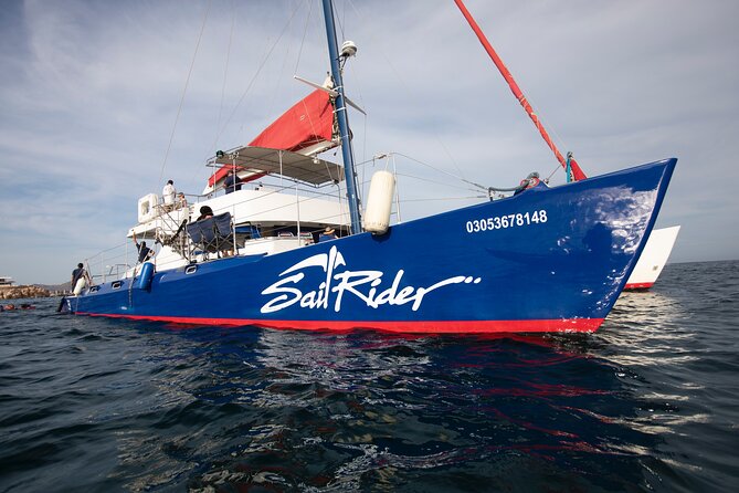 Snorkel, Lunch & Sail in Cabo San Lucas - Meeting at Cabo Marina at 10:30 a.m.