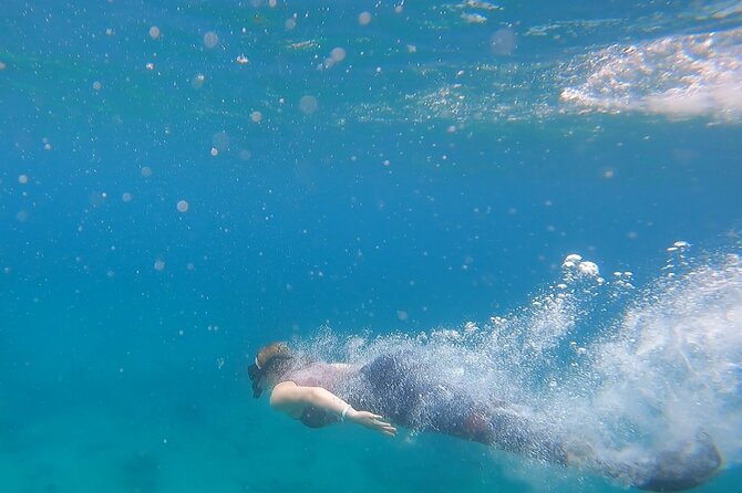 Snorkel Privately in Cabo San Lucas - Leaving Playa El Médano at 9:00 a.m.