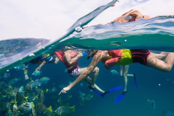 Snorkel Tour and Glass-Bottom Boat Ride in Cabo San Lucas - Boarding at Cabo San Lucas Marina