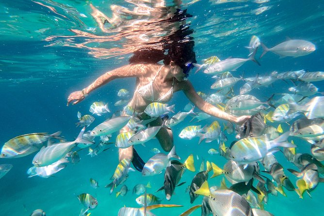 Snorkel Tour and Glass-Bottom Boat Ride in Cabo San Lucas - Snorkeling at Pelican Rock